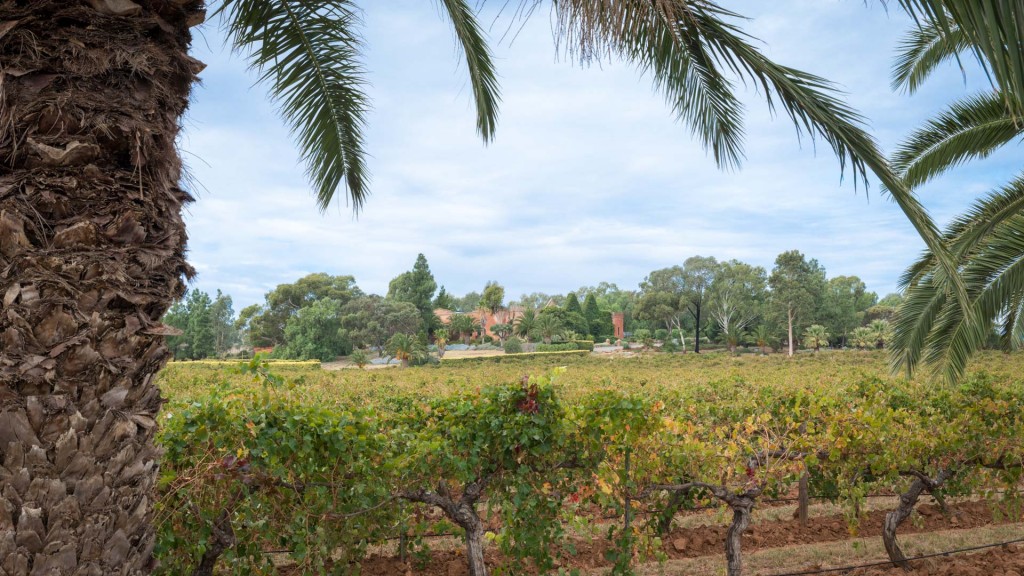 Weingut im Barossa Valley